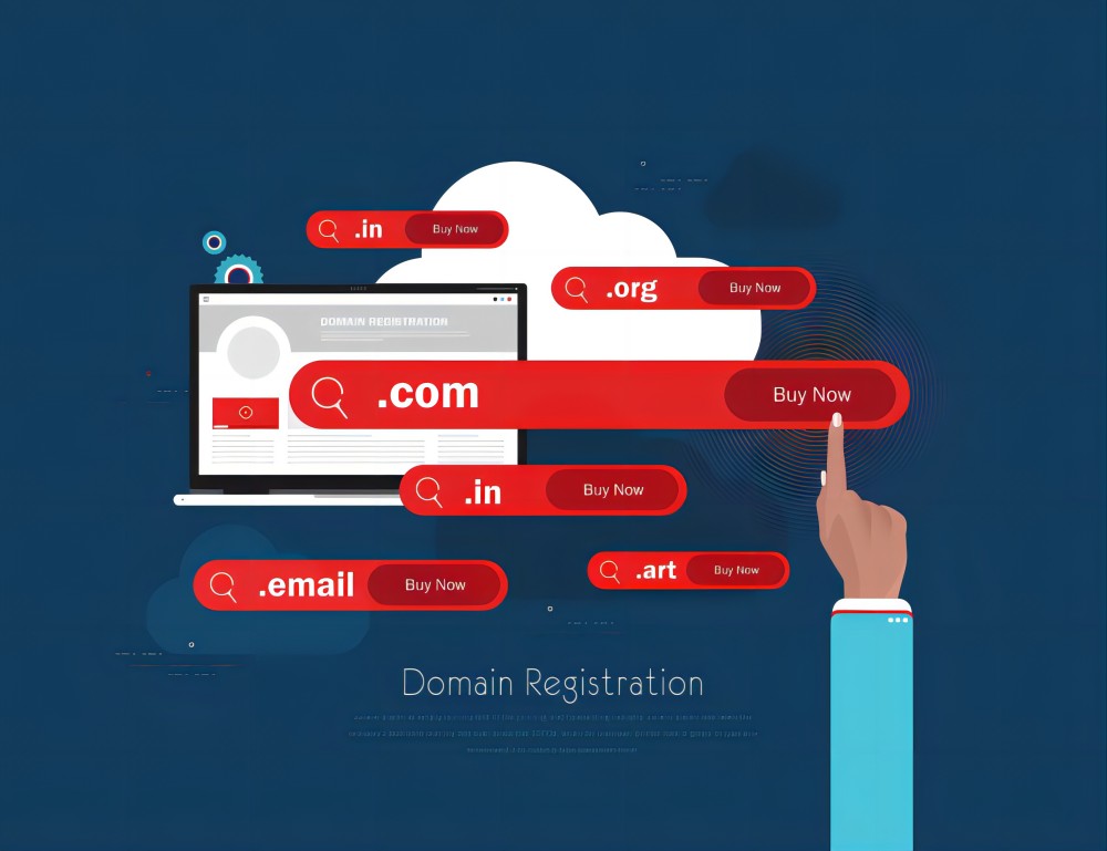Domain Registration and Adding Domain DNS Resolution