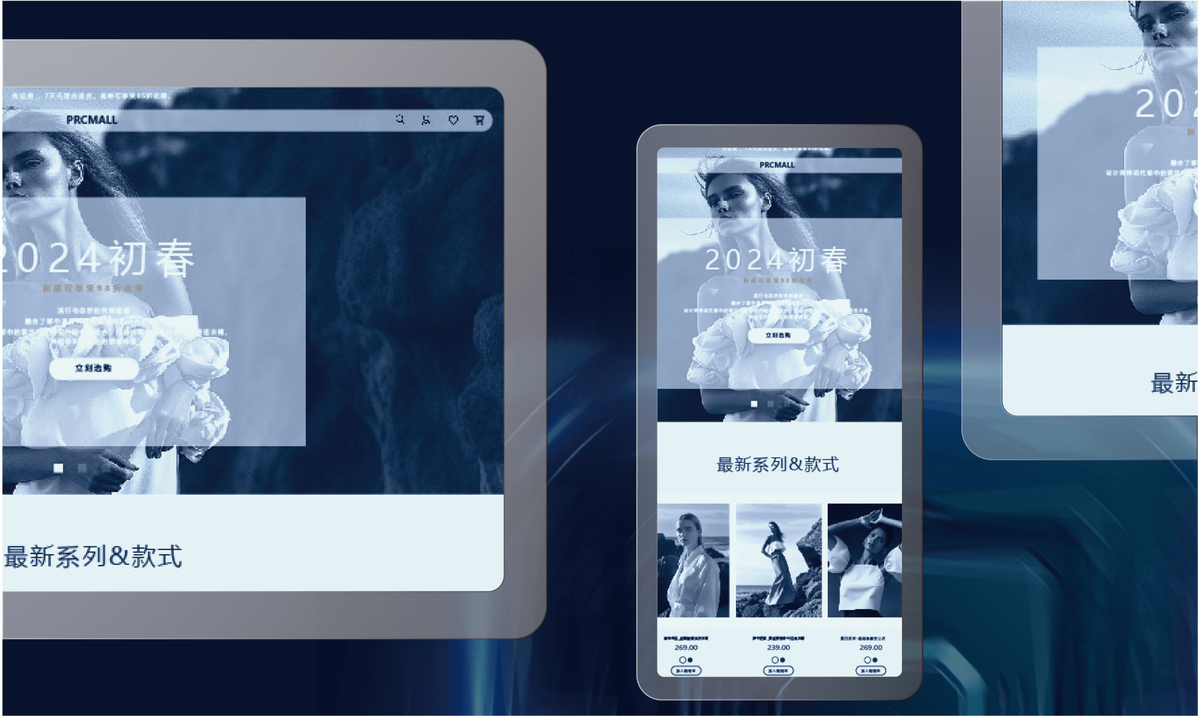 WordPress网页设计及B2B/B2C独立站建站营销功能开发专家
